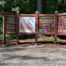 Standing Boy Trails