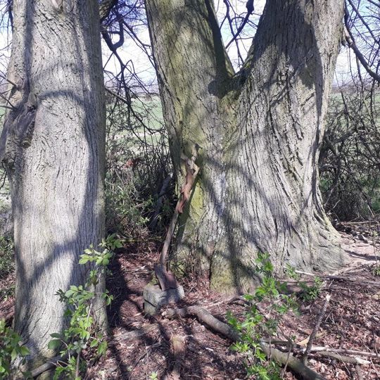 Kříž západně od Dubu