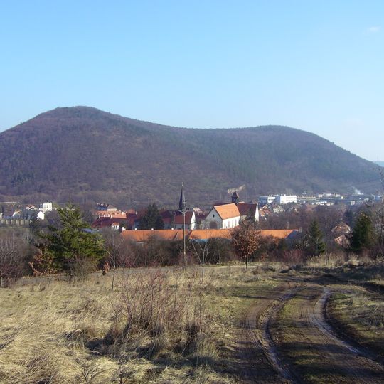 Květnice