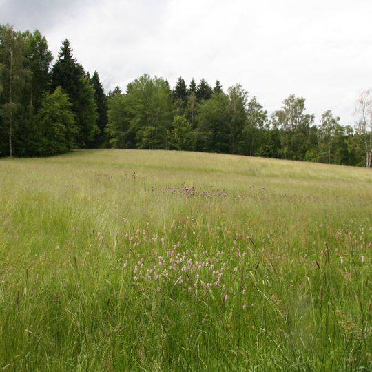 Steinbergwiesen und Seifenbachtal