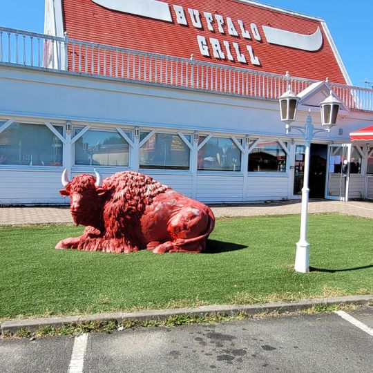Buffalo Grill
