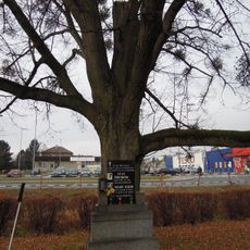 Pomník popravených partyzánů