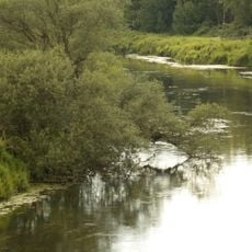 NSG Lippeaue von Wethmar bis Lünen