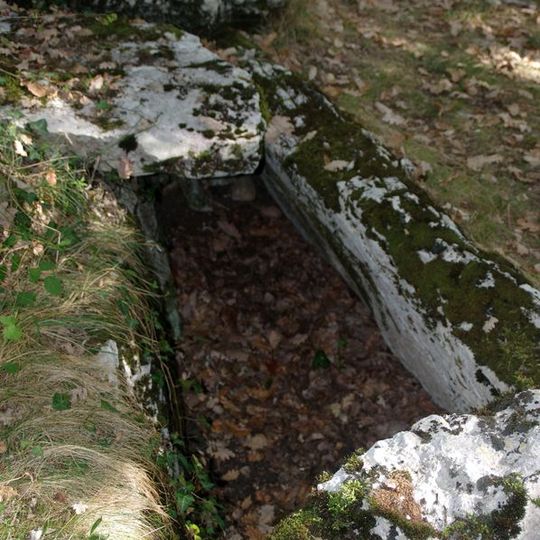 Dolmen de Goudère