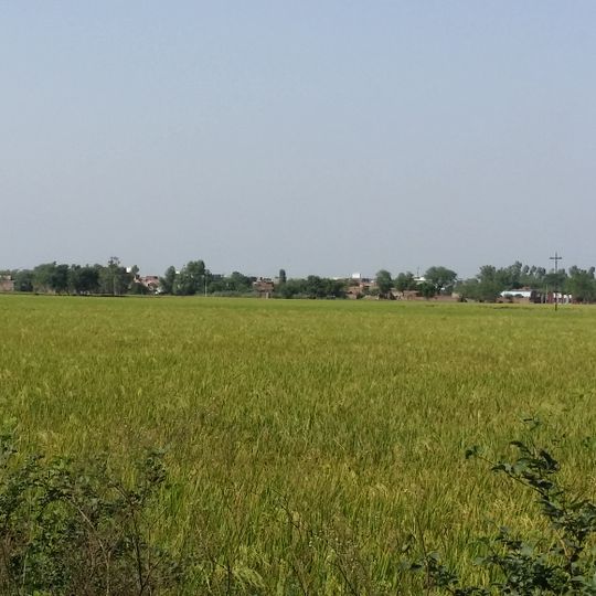 Pasrur Tehsil