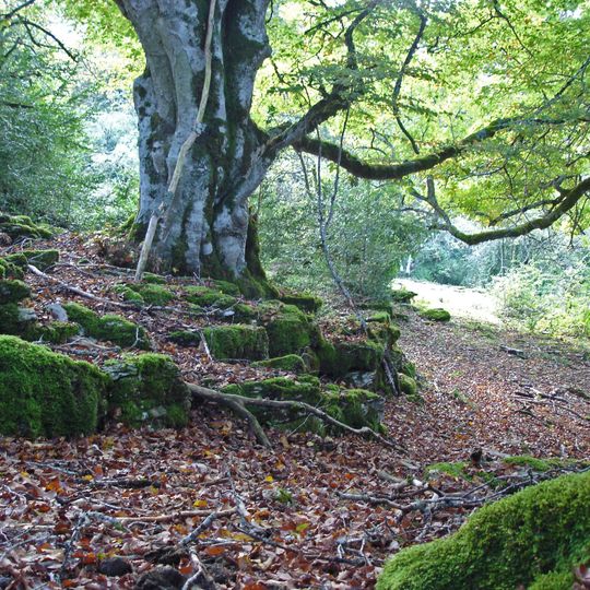 Parque natural Urbasa-Andía