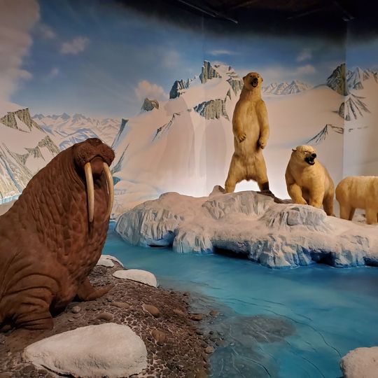 The Museum at Rolling Hills Zoo