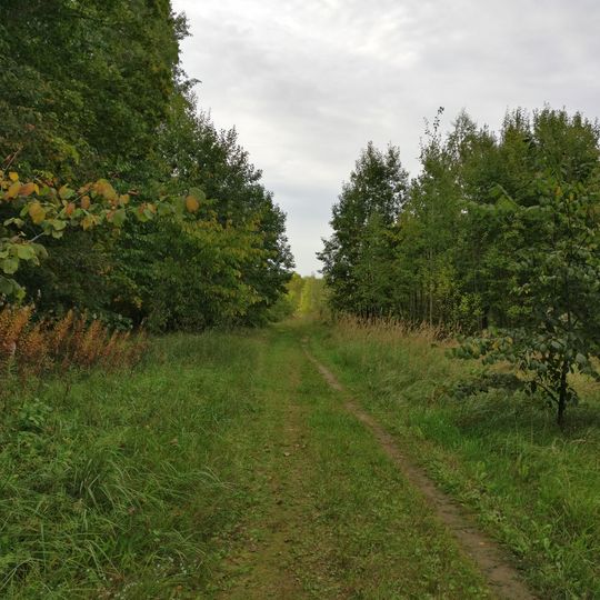 Mārciena Manor Park