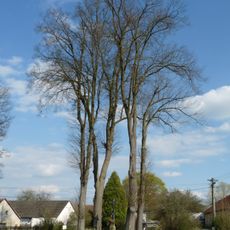 Kříž ve Vlčetínci na křižovatce