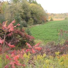 Aurora Site, Wendat (Huron) Ancestral Village
