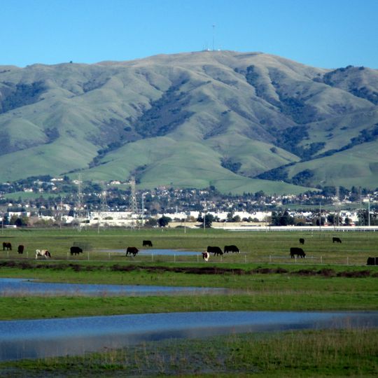 Mowry Slough