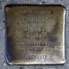 Leonhard Schaye