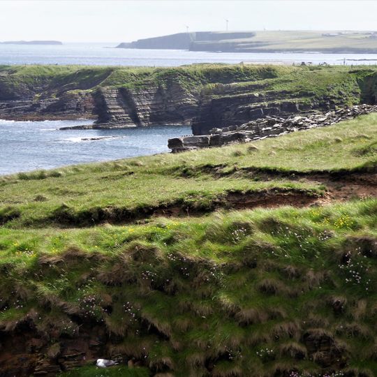 Mull Head Nature Reserve