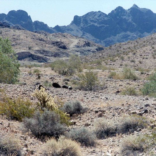 Trigo Mountains Wilderness