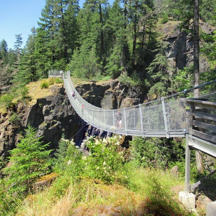 Elk Falls Suspension Bridge
