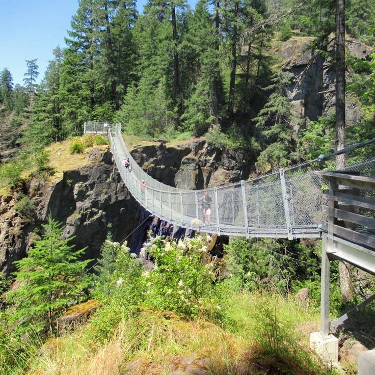 Ponte sospeso di Elk Falls