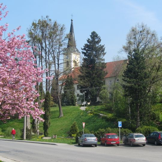 Zubří