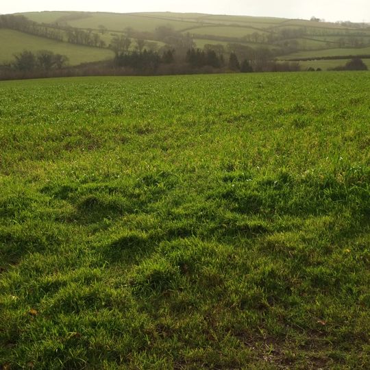 Ringwork and bailey castle 400m south of Langford Barton