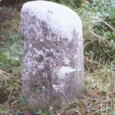 Milestone, Hill Wood