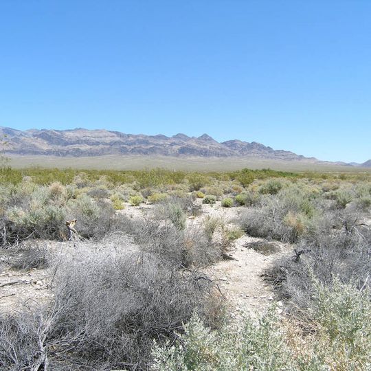 Desert National Wildlife Range