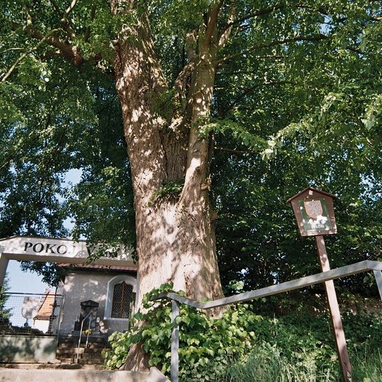 Štěpánovická lípa