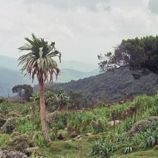Bale-Mountains-Nationalpark