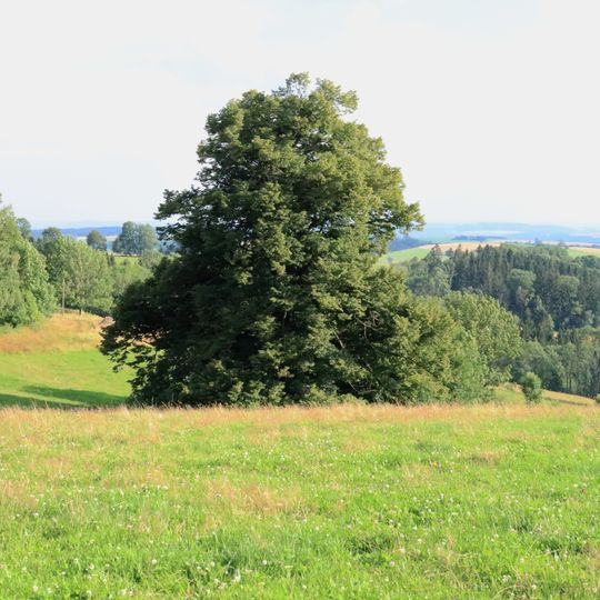 Lípa u Nebeské Rybné