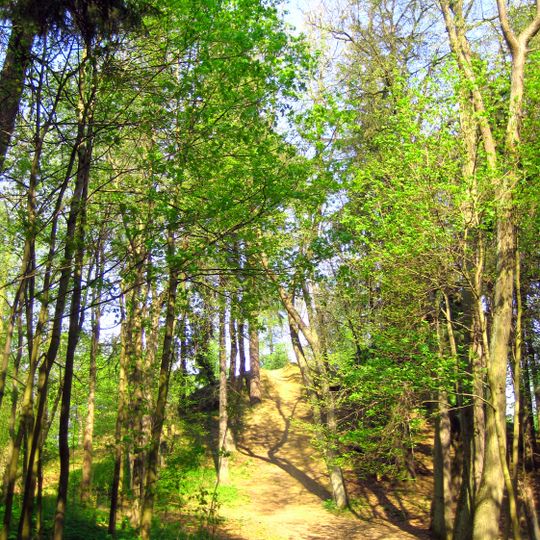 Гора «Новый Парнас»