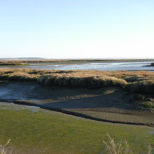 Sado Estuary Natural Reserve