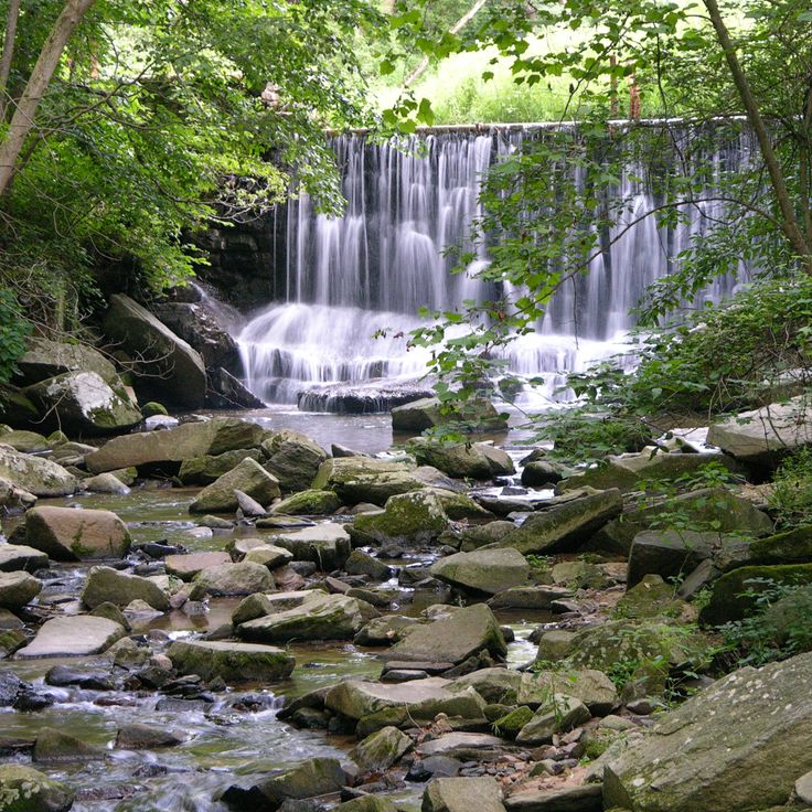 Parc d'État Susquehanna