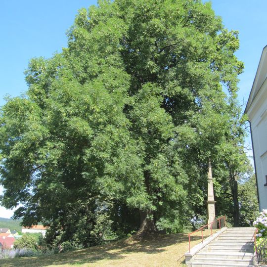 3 lípy u hřbitova a kostela v Újezdě u Valašských Klobouk