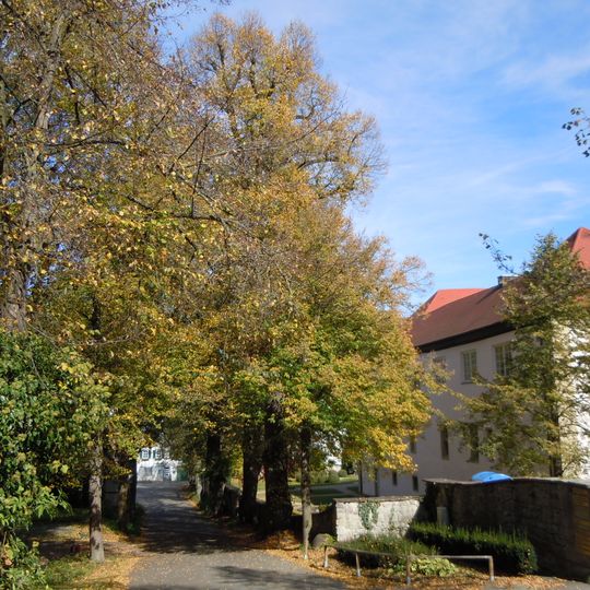 Lindenallee in der Schloßstraße