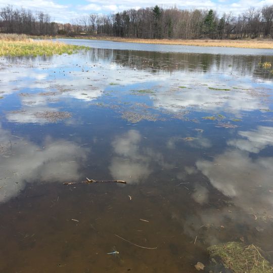 Frost Entomological Museum