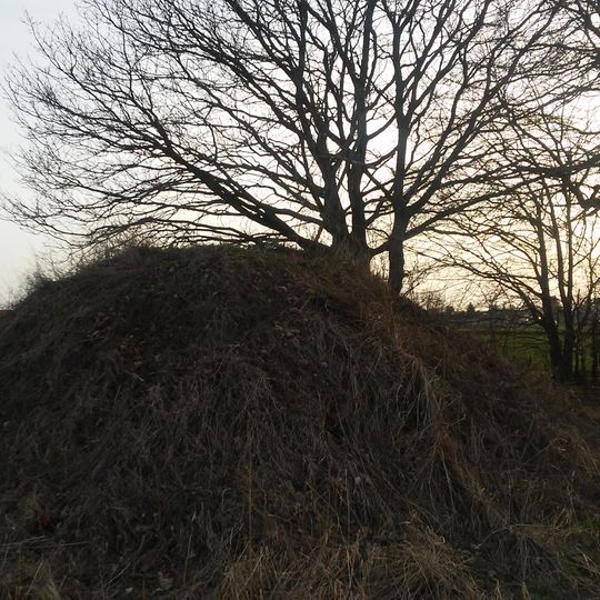 Cmentarz wojenny w Stefankowicach-Kolonii