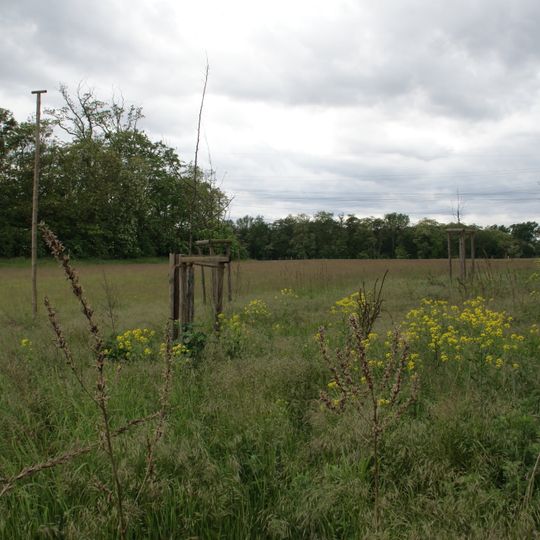 Viehwäldchen, Apfelkammer, Neuwäldchen