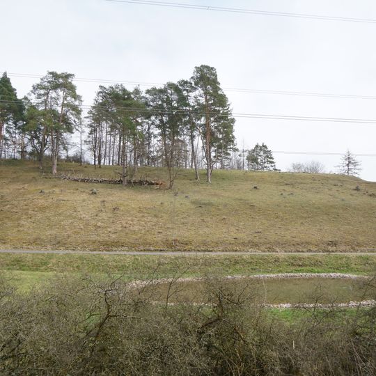 Halbtrockenrasen Nördlicher Hornberg