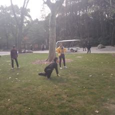 Gongqing Forest Park