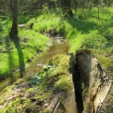 Steinerne Rinne und Mechower Holz