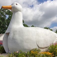 Big Duck