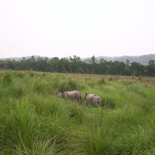 Pradera y sabana de Terai-Duar