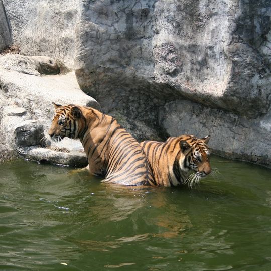 Zoo di Songkhla