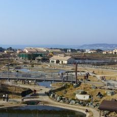 長井海の手公園 ソレイユの丘
