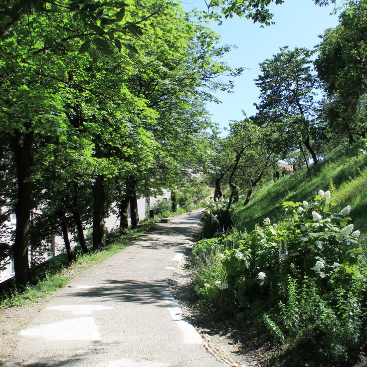 Jardin du Rosaire