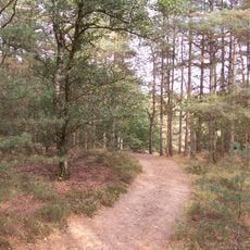 Gruitroderbos