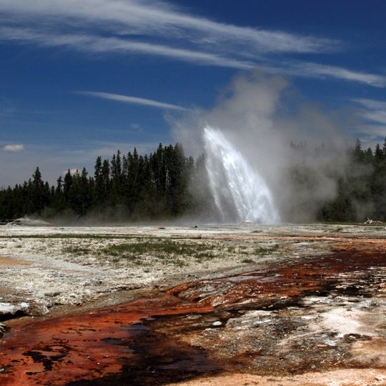 Daisy Geyser