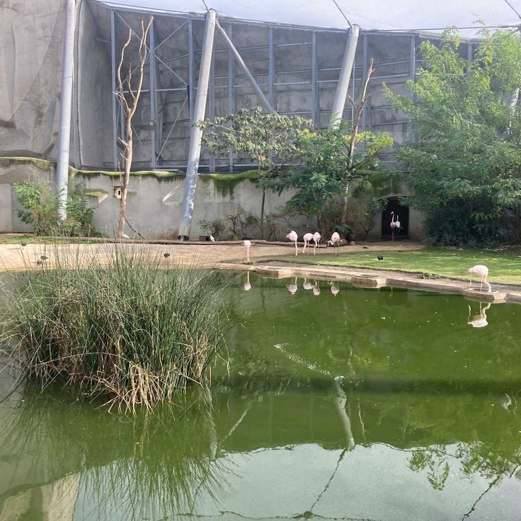 Large aviary