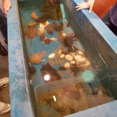 Mount Desert Oceanarium