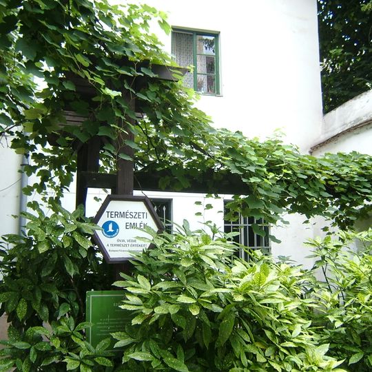 Vigne de Bécsi kapu tér