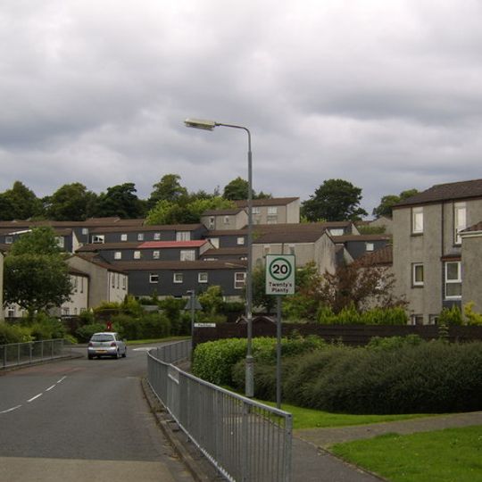 Erskine