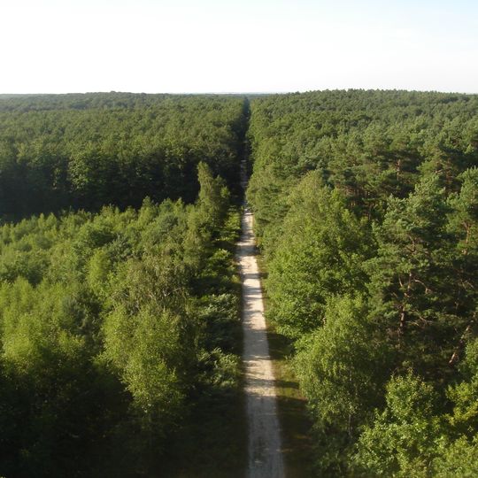 Forêt d'Orléans